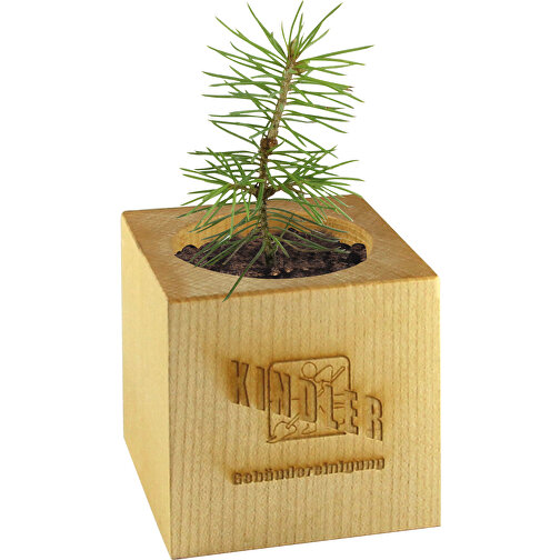Pot cube bois de bureau de Noël - Design standard - Epicéa - sans gravure laser, Image 2