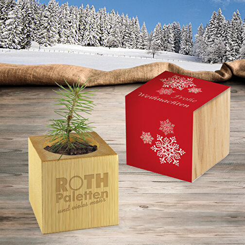 Pot cube bois de bureau de Noël - Design standard - Epicéa - sans gravure laser, Image 4