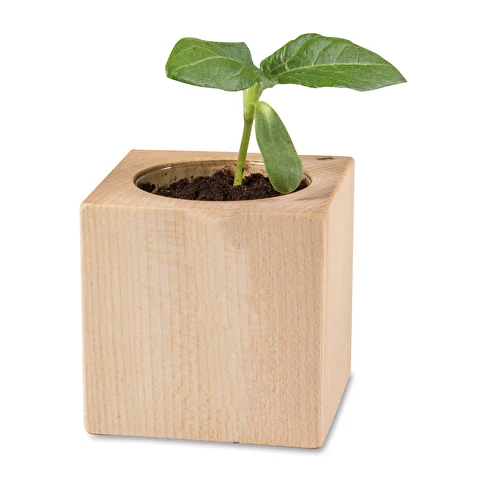Pot cube bois mini standard, Myosotis - conception standard, Image 3