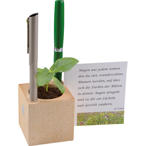 Plantning træ kontor inkl. laser 2 sider - daisy, Billede 2