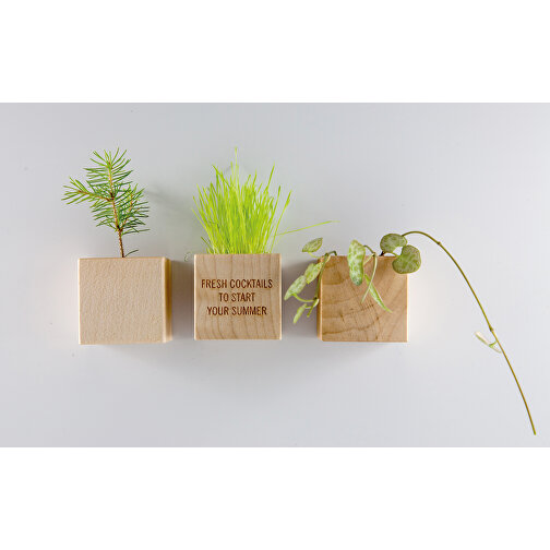 Pot cube bois mini avec aimant avec graines - Cresson de jardin, 1 sites gravés au laser, Image 2