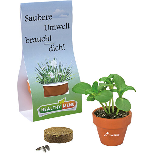 Mini pot terre cuite sous pochette - Mélange d herbes aromatiques, Image 1