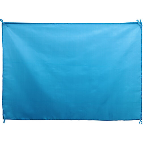 Fahne DAMBOR , hellblau, Polyester, 100,00cm x 70,00cm (Länge x Breite), Bild 1