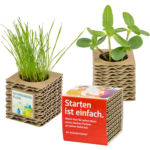 Cubo de cartón corrugado para plantas Mini - Girasol, Imagen 5