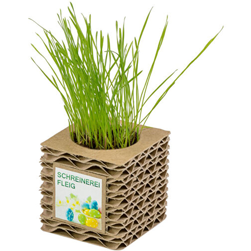 Pot cube mini en carton ondulé avec graines - Bulbes de trèfle à 4 feuilles, Image 2