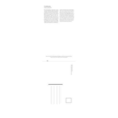 Gesundheit Durch Heilkräuter , Papier, 42,00cm x 11,90cm (Höhe x Breite), Bild 3