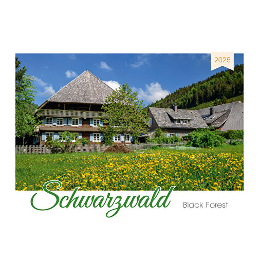 Schwarzwald , Papier, 29,70cm x 42,00cm (Höhe x Breite), Bild 1