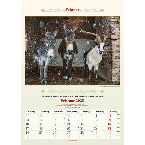 Bauernkalender , Papier, 47,80cm x 29,70cm (Höhe x Breite), Bild 3