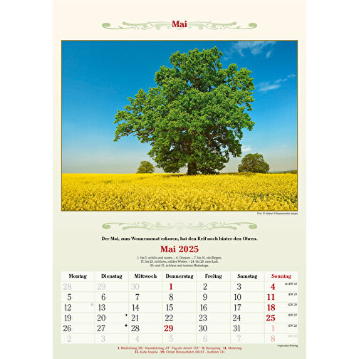 Bauernkalender , Papier, 47,80cm x 29,70cm (Höhe x Breite), Bild 6