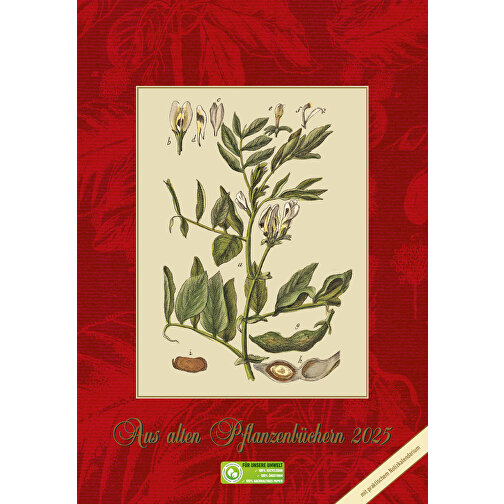 Aus Alten Pflanzenbüchern , Papier, 34,00cm x 23,70cm (Höhe x Breite), Bild 1