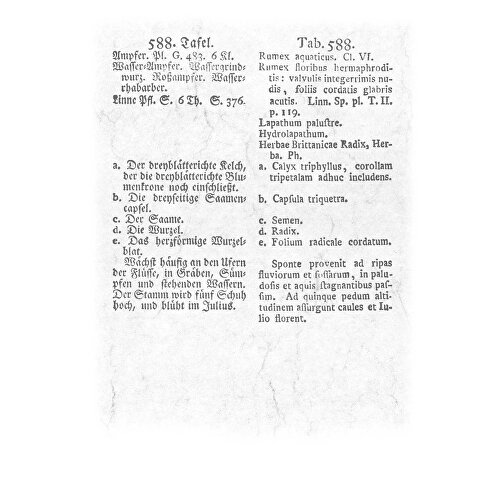 Aus Alten Pflanzenbüchern , Papier, 34,00cm x 23,70cm (Höhe x Breite), Bild 9