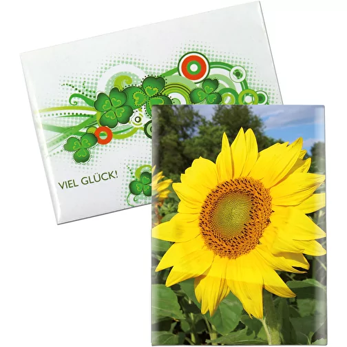 Pochette de graines MINI - papier standard - Tournesol, Image 1