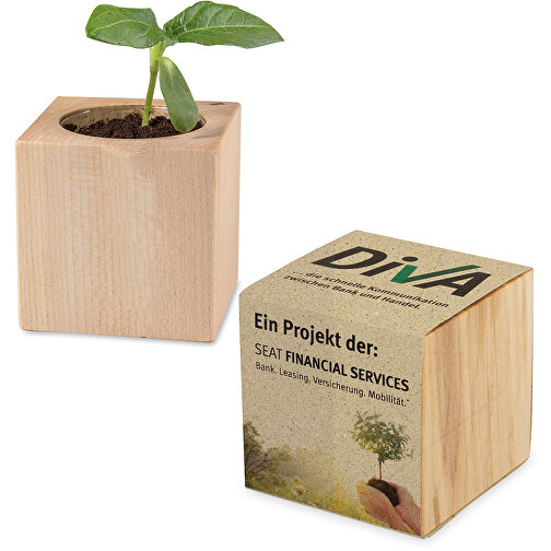 Plant Wood Grass Paper - Marigold, Bild 2