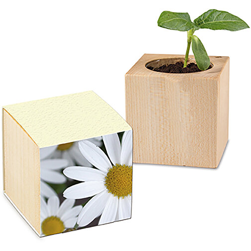 Papel de hierba de madera para plantas - Daisy, Imagen 1