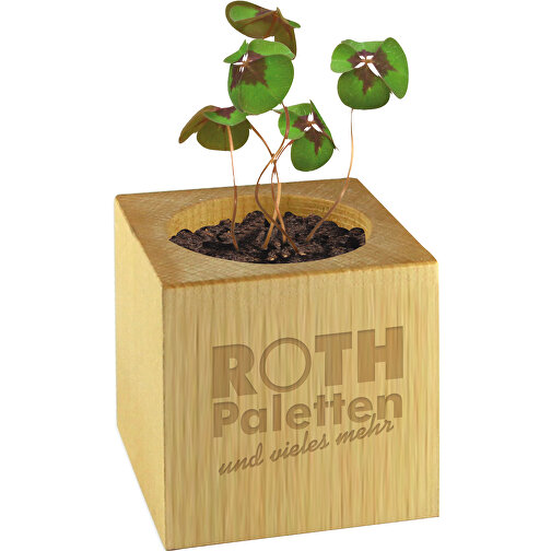 Pot cube bois Mini - Trèfle à 4 feuilles - 1 sites gravés au laser, Image 2
