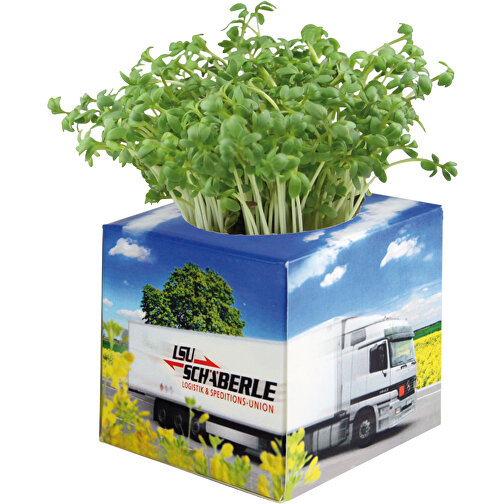 Cube à planter 2.0 avec graines - mini-aubergine, Image 3