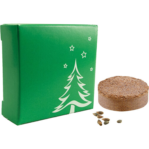 Weihnachtsbaum-Präsent XS , grün, Papier, Kokosfaser, Samen, 5,00cm x 1,90cm x 5,00cm (Länge x Höhe x Breite), Bild 1