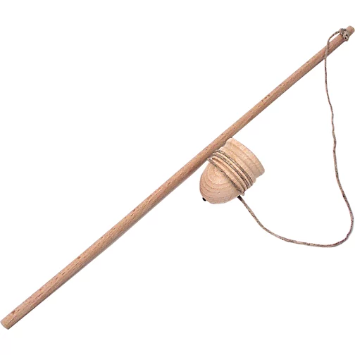 Gyroscope à fouet, Image 1