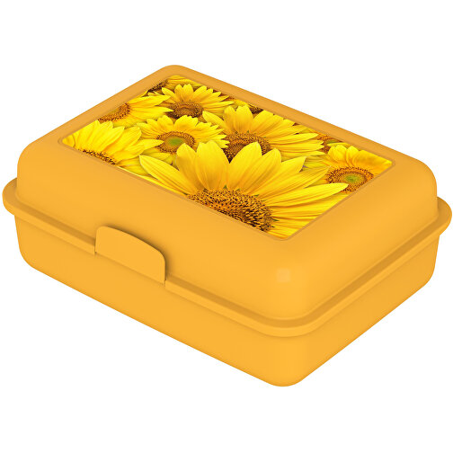 Vorratsdose 'School-Box' Groß, Mit Trennschale , trend-gelb PP, Kunststoff, 17,50cm x 6,90cm x 12,80cm (Länge x Höhe x Breite), Bild 6