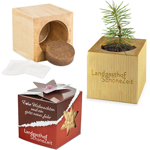 Planter Wood Maxi Star Box Xmas inkl. 2 sidor laserade, Bild 1