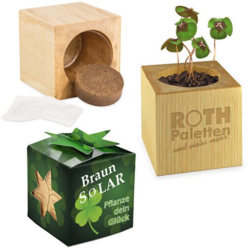 Pot cube bois mini avec bulbes de trèfle à 4 feuilles en boite Star-Box avec graines - 1 sites gra, Image 1