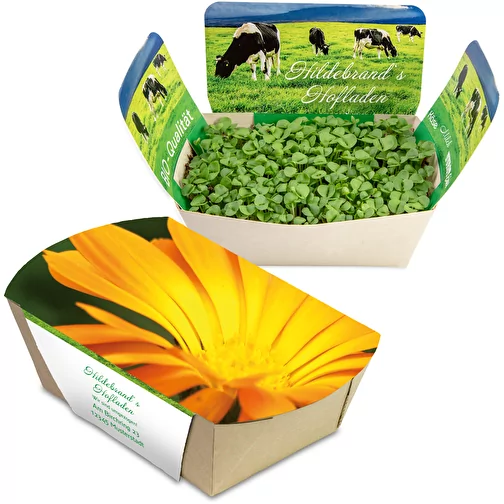 Pflanzodrom - Calendula, Immagine 1