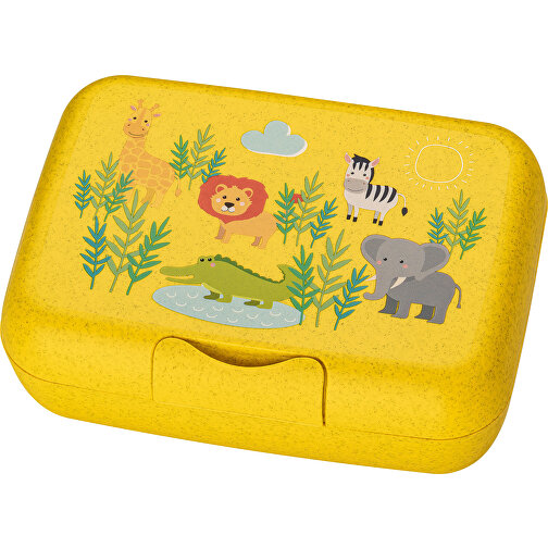 CANDY L AFRICA Lunchbox Mit Trennschale , Koziol, organic yellow, Organic Bio-Circular, 19,00cm x 6,50cm x 13,50cm (Länge x Höhe x Breite), Bild 1
