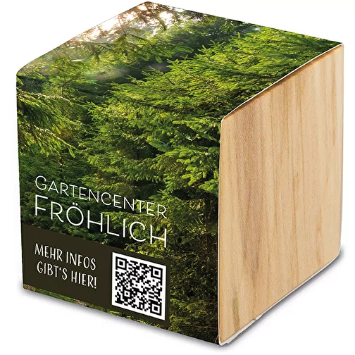 Plante-bois Grande avec graines - Cresson de jardin, Image 3