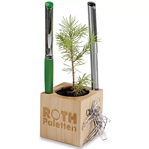 Pot cube boisde bureau en boite star-box avec graines - Mélange d herbes aromatiques, 1 sites grav, Image 2