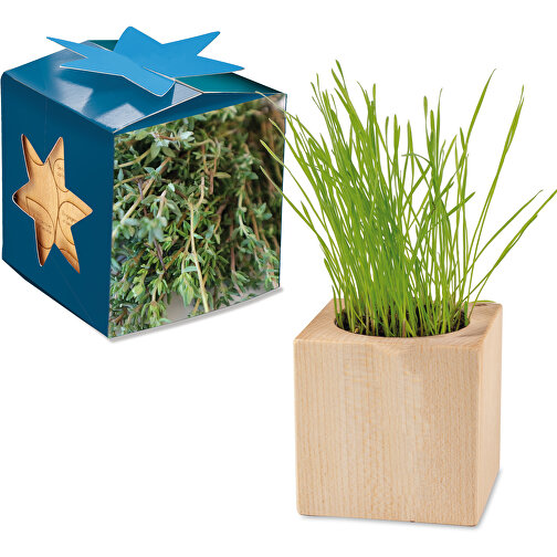 Pot cube bois Maxi en boite star-box avec graines - Thym, 2 sites gravés au laser, Image 1