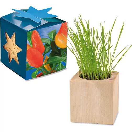 Pot cube bois Maxi en boite star-box avec graines - Piment, 2 sites gravés au laser, Image 1