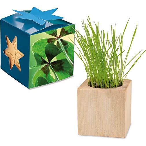 Pot cube bois Maxi en boite star-box avec graines - Bulbes de trèfle à 4 feuilles, 1 sites gravés, Image 1