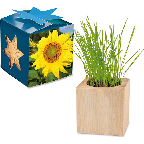 Fioriera in legno Maxi Star Box - Girasole, senza vetro, Immagine 1