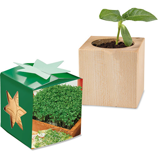 Pot cube bois mini en boite star-box avec graines - Cresson de jardin, Image 1