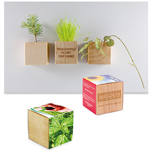 Magnete in legno per piante - Basilico, 2 lati laserati, Immagine 1