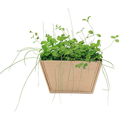 Mini-jardinière bois avec graines - Mélange d herbes aromatiques, Image 2