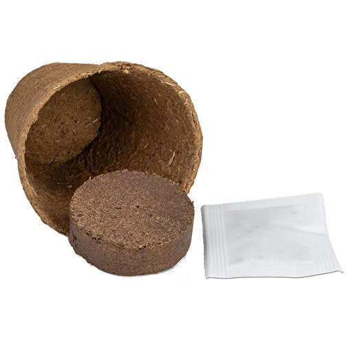 Kit de culture avec graines - Bulbes de trèfle à 4 feuilles, Image 3