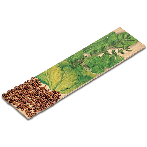 Kräuter-Stick Mit Samen - Schnittlauch , standard, Saatgut, Papier, 5,50cm x 8,00cm (Länge x Breite), Bild 5
