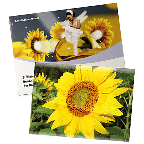 Samentütchen Groß - Standardpapier - Sonnenblume , individuell, Saatgut, Papier, 11,50cm x 15,60cm (Länge x Breite), Bild 1