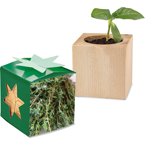 Plant Wood Star Box - Tomillo, sin acristalamiento, Imagen 1