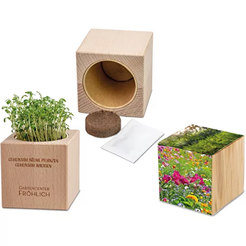Plante-bois Grande avec graines - Mélange de fleurs d été, Image 1