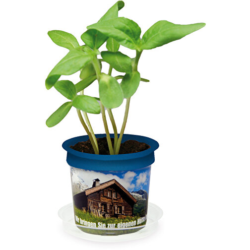 Florero-potte med frø - terrakotta - urteblanding, Billede 3