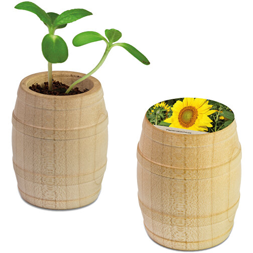 Pflanz-Fässchen Mit Samen - Sonnenblume, Lasergravur , Holz, Erde, Saatgut, Papier, 5,50cm (Höhe), Bild 1