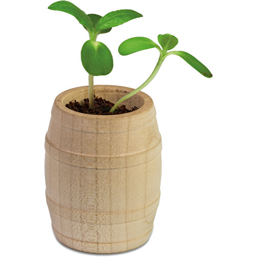 Mini-tonneau en bois avec graines - Marguerite, Image 2