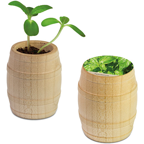 Mini-tonneau en bois avec graines - Basilic, Image 1