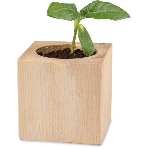 Drewno do sadzenia - Motyw standardowy - Slonecznik, Obraz 2