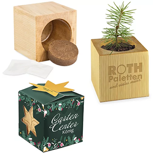 Maxi Star-Box à planter avec graines - épicéa, 2 côtés découpés au laser, Image 1