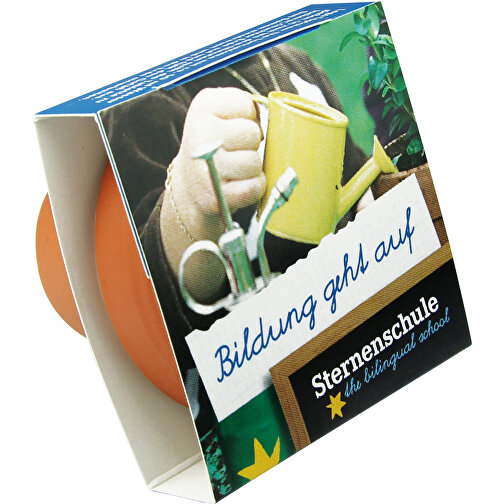 Logo pottebanderole med frø - sommerblomsterblanding, Bilde 4