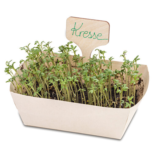Kit de plantation - lot de 2 - mélange d\'herbes aromatiques / mélange de fleurs d\'été, Image 3