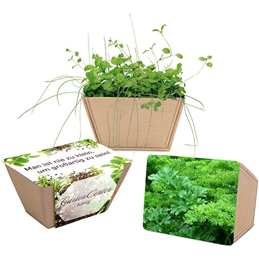 Mini-jardinière bois avec graines - Persil, Image 1